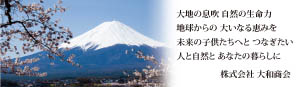 株式会社 大和商会