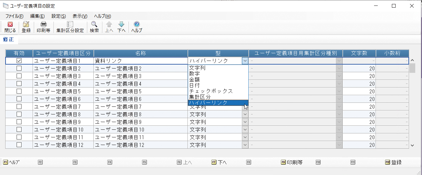 ユーザー定義項目の設定1