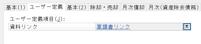 ユーザー定義項目の設定2