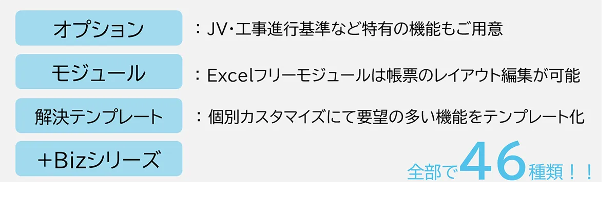 多様なニーズに対応する柔軟性とオプションの数々