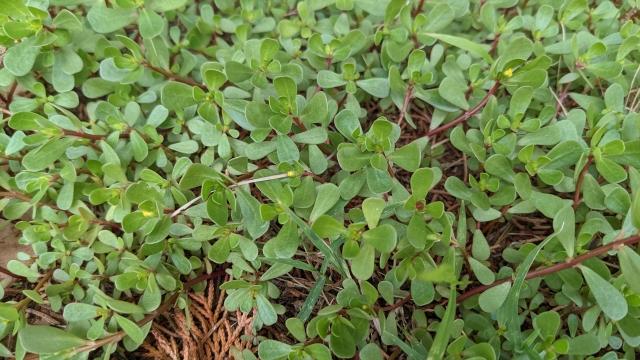 hlt26080201_img04